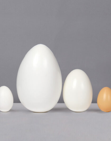 Ägg