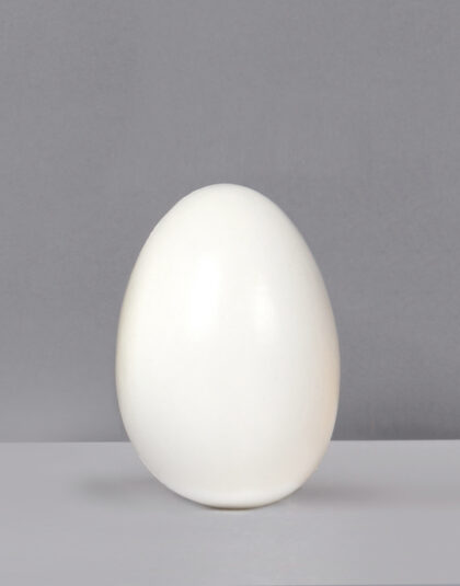 Ägg