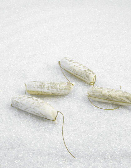 Korv Filzzetta på Snöre