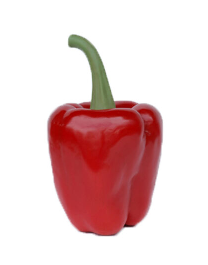 Gigantisk 72cm hög Paprika