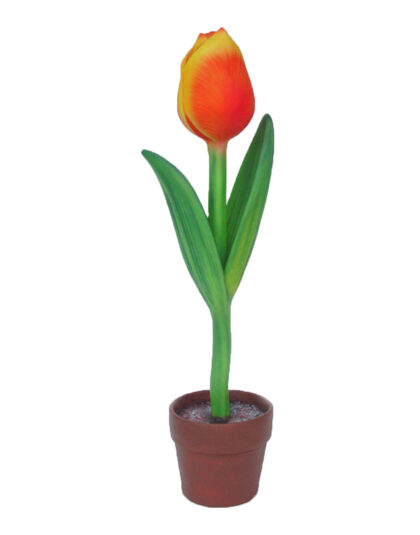 Gigantisk Tulpan