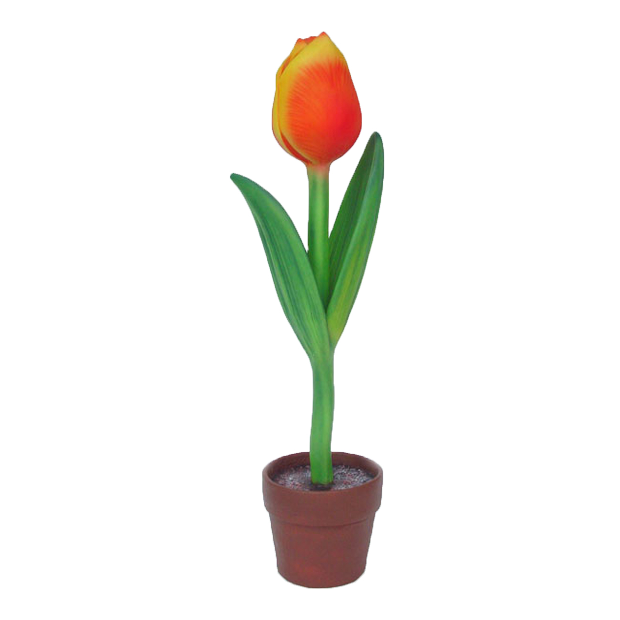 Gigantisk Tulpan