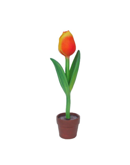 Gigantisk Tulpan