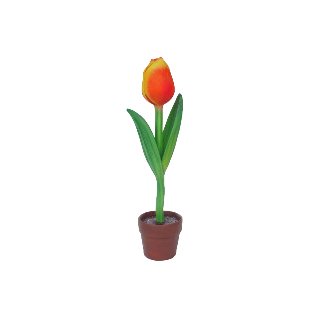 Gigantisk Tulpan