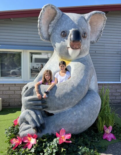 Koala glasfiber, Selfiespot