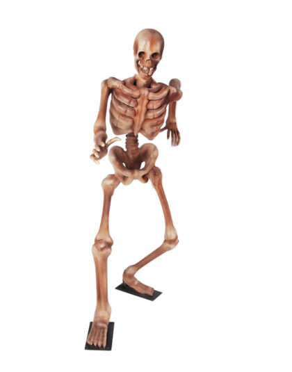 Skelett Springer, 80x151x170cm